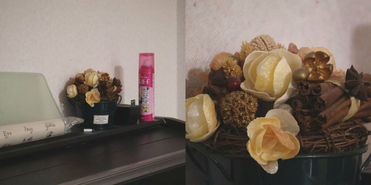 EOS R50 RF-S55-210mm 55mm → 210mm